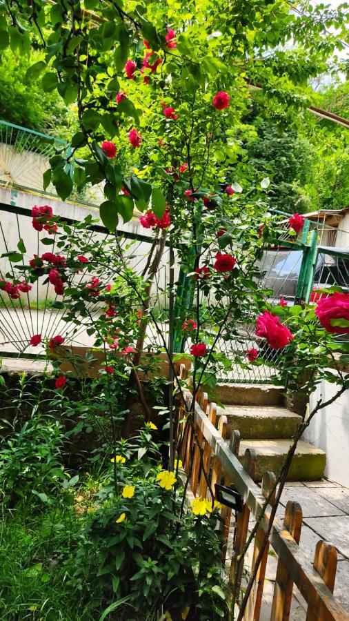 Borjomi Nest Hotel Exterior foto